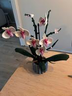 Lego 10311 Botanical Collection Orchidee, Ophalen, Zo goed als nieuw, Complete set, Lego