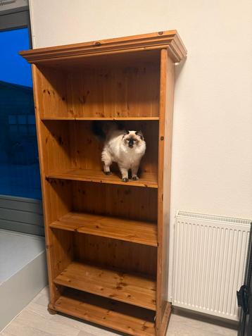 Massief Grenen Boekenkast - Landelijke Stijl beschikbaar voor biedingen