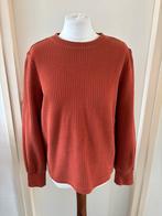 Hema trui maat M, Kleding | Dames, Truien en Vesten, Maat 38/40 (M), Overige kleuren, Ophalen of Verzenden, Zo goed als nieuw