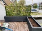 Terras aankleding met op maat gemaakte planten bakken