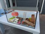 Hamsterkooi met toebehoren, Dieren en Toebehoren, Kooi, Gebruikt, Hamster, 75 tot 110 cm