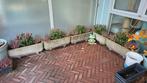 5 mooie bloembakken gevult met mooie plantjes en goede aarde, Tuin en Terras, Bloembakken en Plantenbakken, Ophalen, Steen, Gebruikt