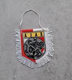 vaantje Ajax, Ophalen of Verzenden, Zo goed als nieuw, Ajax, Vaantje of Sjaal