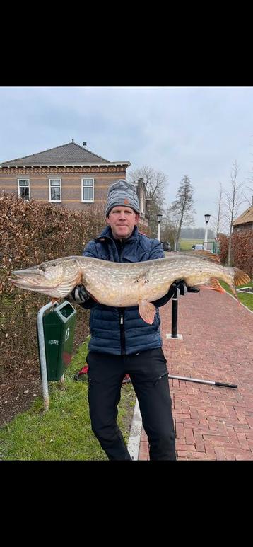 Dikke meter+ vangen met Monoflex Onderlijntjes beschikbaar voor biedingen