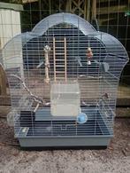 Vogelkooi met toebehoren in nette staat, Ophalen of Verzenden, Gebruikt, Vogelkooi
