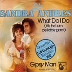 single vinyl  SANDRA & ANDRES – What Do I Do (1972 - GER), Gebruikt, Verzenden, 7 inch, Single