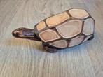 Houten Decoratieve Schildpad, Ophalen of Verzenden, Zo goed als nieuw, Hout, Dierenbeeld