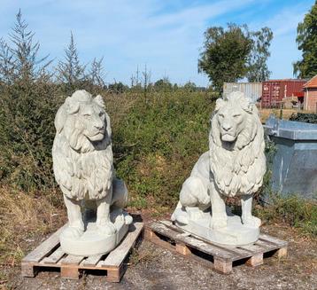 Zandsteen look grote leeuwen beschikbaar voor biedingen