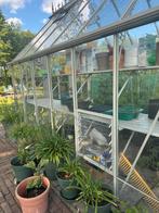 Tuinkas Robinson, Tuin en Terras, Kassen, Ophalen, Gebruikt, Kweekkas, Glas