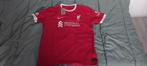 Liverpool Shirt Virgil van Dijk XXL (valt als XL) Nieuw, Nike, Nieuw, Overige maten, Ophalen of Verzenden
