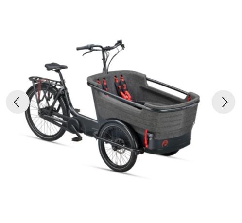 Batavus fier 3, nexus 5, Fietsen en Brommers, Fietsen | Bakfietsen, Nieuw, Ophalen of Verzenden