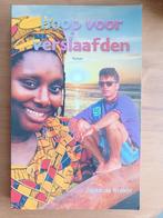 Hoop voor verslaafden - roman, Boeken, Gelezen, Ophalen of Verzenden, Nederland, Japke de Kraker
