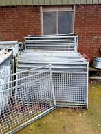 lammer hekjes, Oktober, Mannelijk