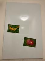 Magnetisch memo/whitebord 60 bij 90 cm, Huis en Inrichting, Woonaccessoires | Memoborden, Gebruikt, Ophalen