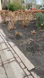 Gratis Grote stenen bielzen 120x20x10, Ophalen, Gebruikt, Beton, Terrastegels