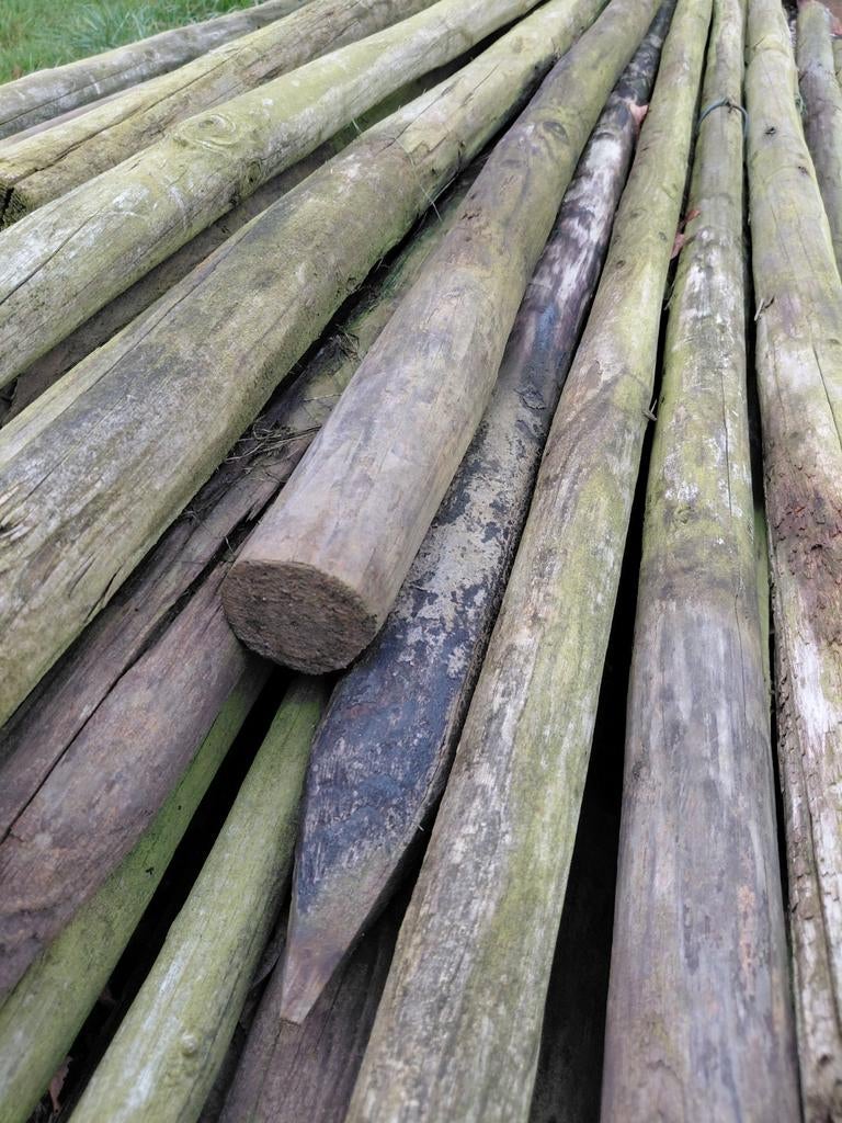Boom palen/afrasterings palen, Ophalen, Gebruikt, 180 tot 250 cm, Palen