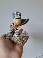 Pimpelmees vogel met jong in nest van kunsthars 11x11x13cm, Verzamelen, Dierenverzamelingen, Ophalen of Verzenden, Zo goed als nieuw