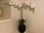 Kunstplant kunst orchidee wit ZGAN, Binnen, Ophalen of Verzenden, Zo goed als nieuw