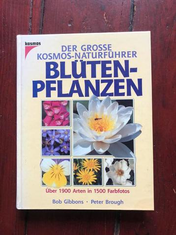 Blüten planzen Bob Gibbons Peter Brough