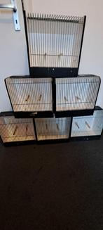 7 tt kooien, Dieren en Toebehoren, Ophalen, Hout, Overige typen