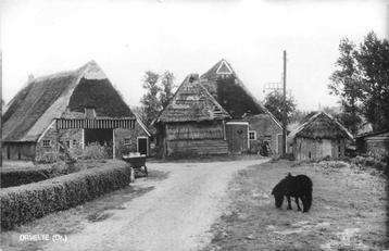 (300-311-005) Orvelte 0 beschikbaar voor biedingen