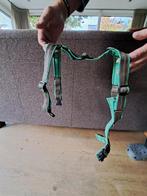 Hondentuig voor middelgrote hond, Dieren en Toebehoren, Ophalen of Verzenden, Gebruikt, Hondenriem