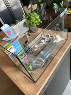 Aquarium glas 45 liter, Dieren en Toebehoren, Vissen | Aquaria en Toebehoren, Ophalen, Zo goed als nieuw, Leeg aquarium