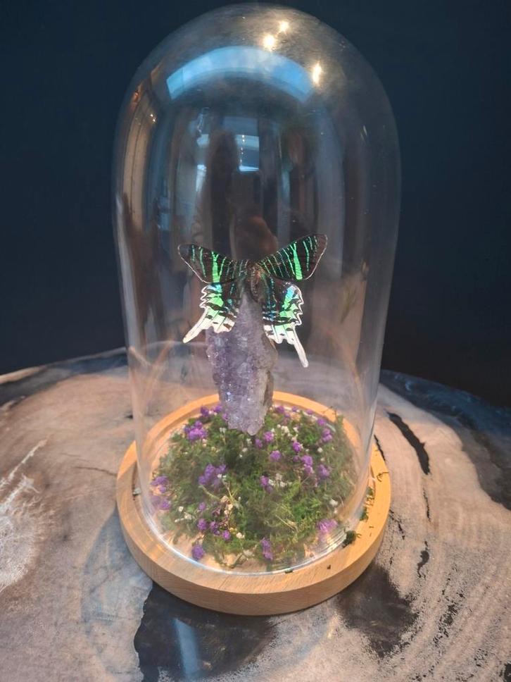 Prachtige stolp met vlinder en edelsteen, Huis en Inrichting, Woonaccessoires | Stolpen, Zo goed als nieuw, Ophalen of Verzenden