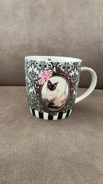 Mok Siamese kat beschikbaar voor biedingen