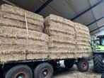 Onverpakte XL balen, beperkte voorraad. Analyse beschikbaar, Dieren en Toebehoren, Ophalen, Vee