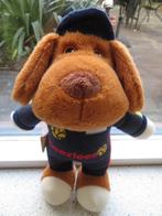 Hond met flaporen merk Beeztees RACING FUN blauwe pet +pak, Ophalen of Verzenden, Zo goed als nieuw, Hond