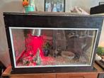 Terrarium met 2 slangen, Dieren en Toebehoren, Reptielen en Amfibieën | Toebehoren, Ophalen, Terrarium of Paludarium