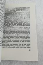 Contre-jour, Triptyque d'après Pierre Bonnard.   Roman, Boeken, Ophalen of Verzenden, Gelezen, Gabriel Josipovici