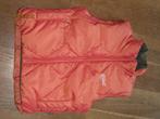 O'Neill oranje bodywarmer maat M, Maat 38/40 (M), Oranje, Ophalen of Verzenden, O'Neill