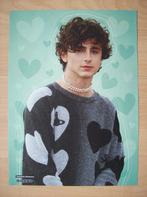 Poster van Timothée Chalamet uit Duits tijdschrift Bravo, Ophalen of Verzenden, Nieuw, A4 of kleiner, Film en Tv