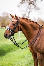 L'Anique Stang en Trens Hoofdstel Diablo - Maat cob of full, Dressuur, Bitsnbridles.eu@outlook.com, Nieuw, Tijnjeweg 37, gersloot