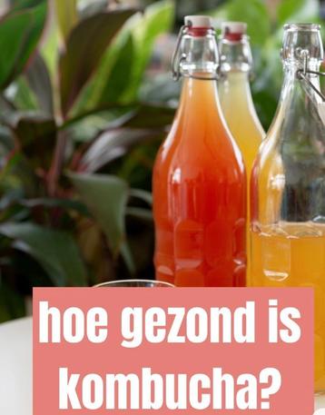Kombucha het gezondheids drankje beschikbaar voor biedingen