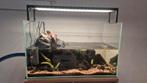 Ada aquarium met chihiros wrgb slim 2, Ophalen, Gevuld zoetwateraquarium