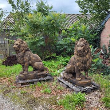 Set oud roest look grote leeuwen beschikbaar voor biedingen