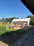 Huur Partytent, partytent huren, huur tent 5x10, Tuin en Terras, Ophalen of Verzenden, 5 tot 8 meter, Minder dan 4 meter, Partytent