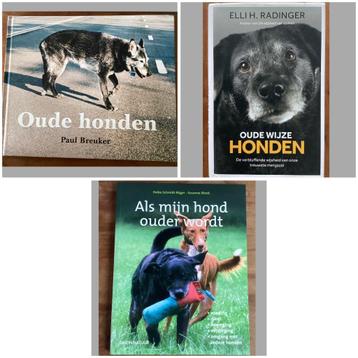 Oudere honden - Radinger / Breuker / Schmidt Roger beschikbaar voor biedingen