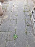 Tuin tegels, Tuin en Terras, Tegels en Klinkers, Ophalen, Gebruikt, 10 m² of meer, Beton