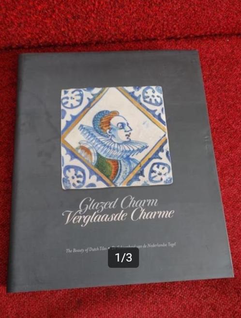 Verglaasde charme Nederlandse tegel 9789089321152, Boeken, Kunst en Cultuur | Beeldend, Zo goed als nieuw, Ophalen of Verzenden