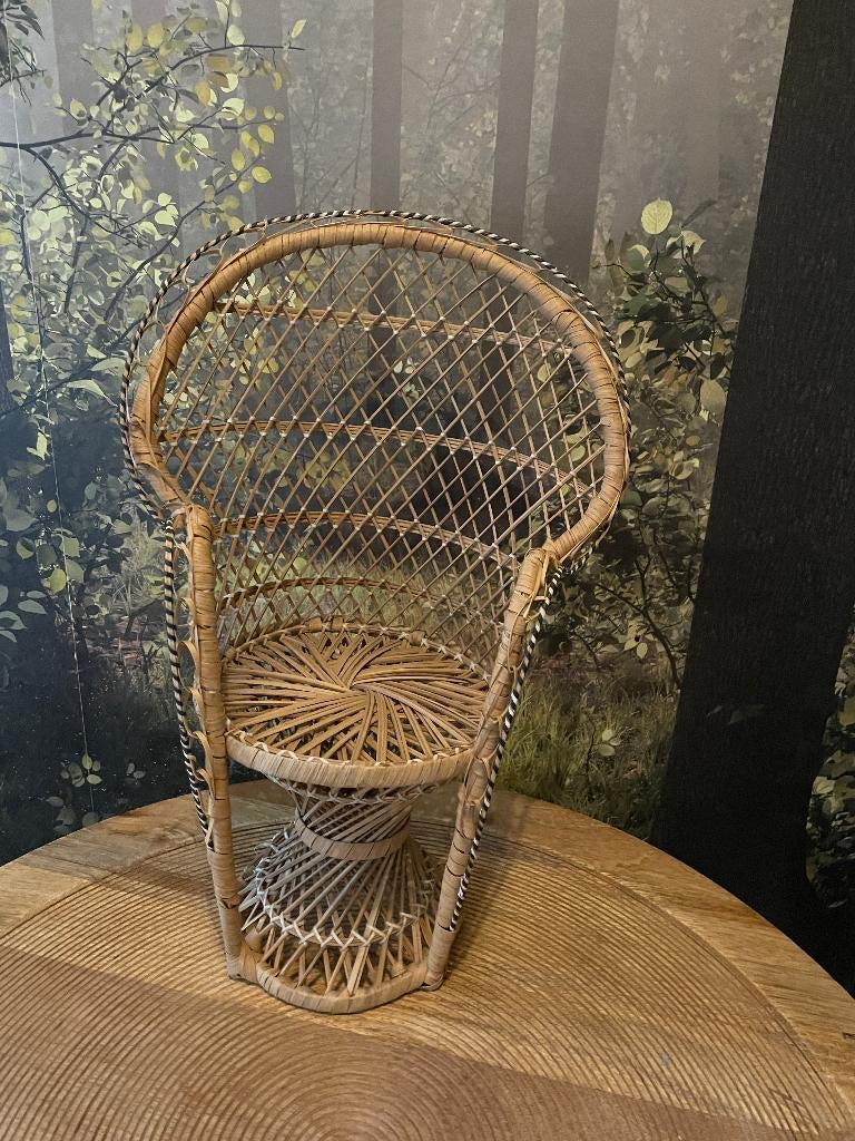 Rotan rieten pauwenstoel retro voor pop poppenstoel 40 cm, Ophalen of Verzenden, Zo goed als nieuw, Overige typen