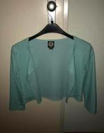 Mintgroen glitter bolero vestje, Meisje, Trui of Vest, Coolcat, Ophalen of Verzenden
