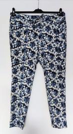 Dreamstar travel broek Kick maat XXL/44 Nieuw! (€69,95), Ophalen of Verzenden, Zo goed als nieuw, Maat 42/44 (L), Blauw
