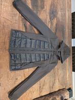 Pikeur Jack Shalin Black Olive, Ophalen of Verzenden, Zo goed als nieuw, Dressuur, Bovenkleding