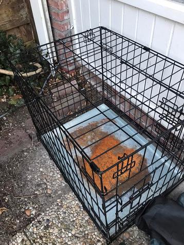 Bench formaat voor Jack Russel  beschikbaar voor biedingen