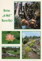 HAREN Hortus De Wolf, Verzenden, 1980 tot heden, Ongelopen, Groningen