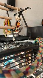 Mooie grijze valkparkiet met wat wit, Dieren en Toebehoren, Mannelijk, Parkiet, Geringd